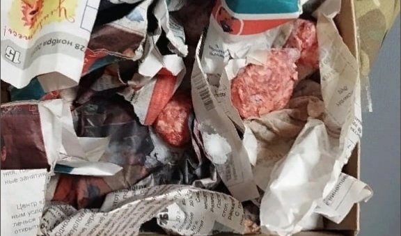 Собак в Костроме изводят приманкой с крысиным ядом