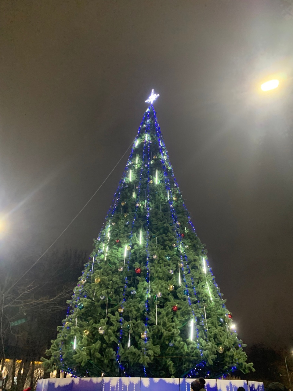 Российский Дед Мороз зажег огни на главной елке Костромы