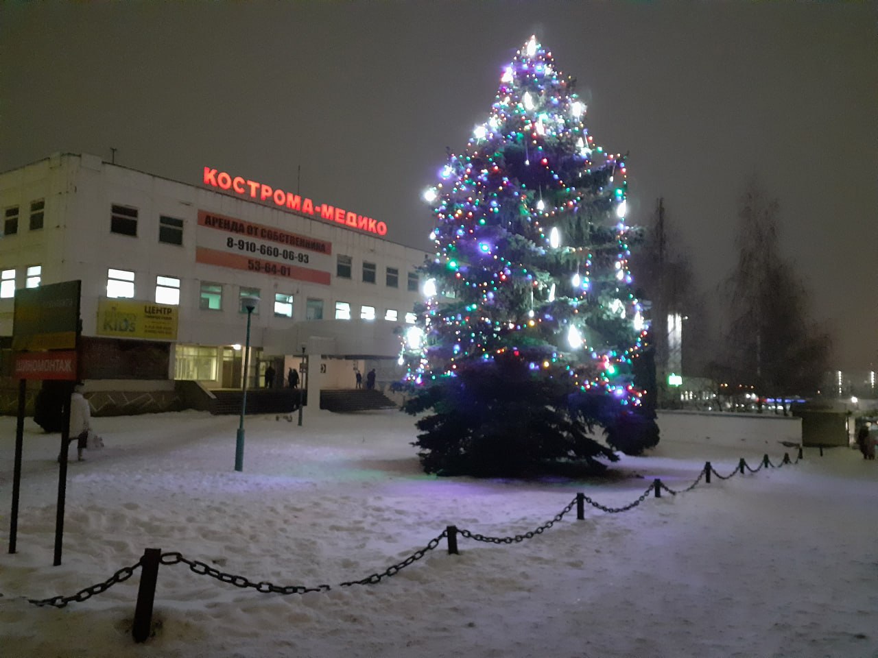 Дождались: в Костроме начали устанавливать главную елку