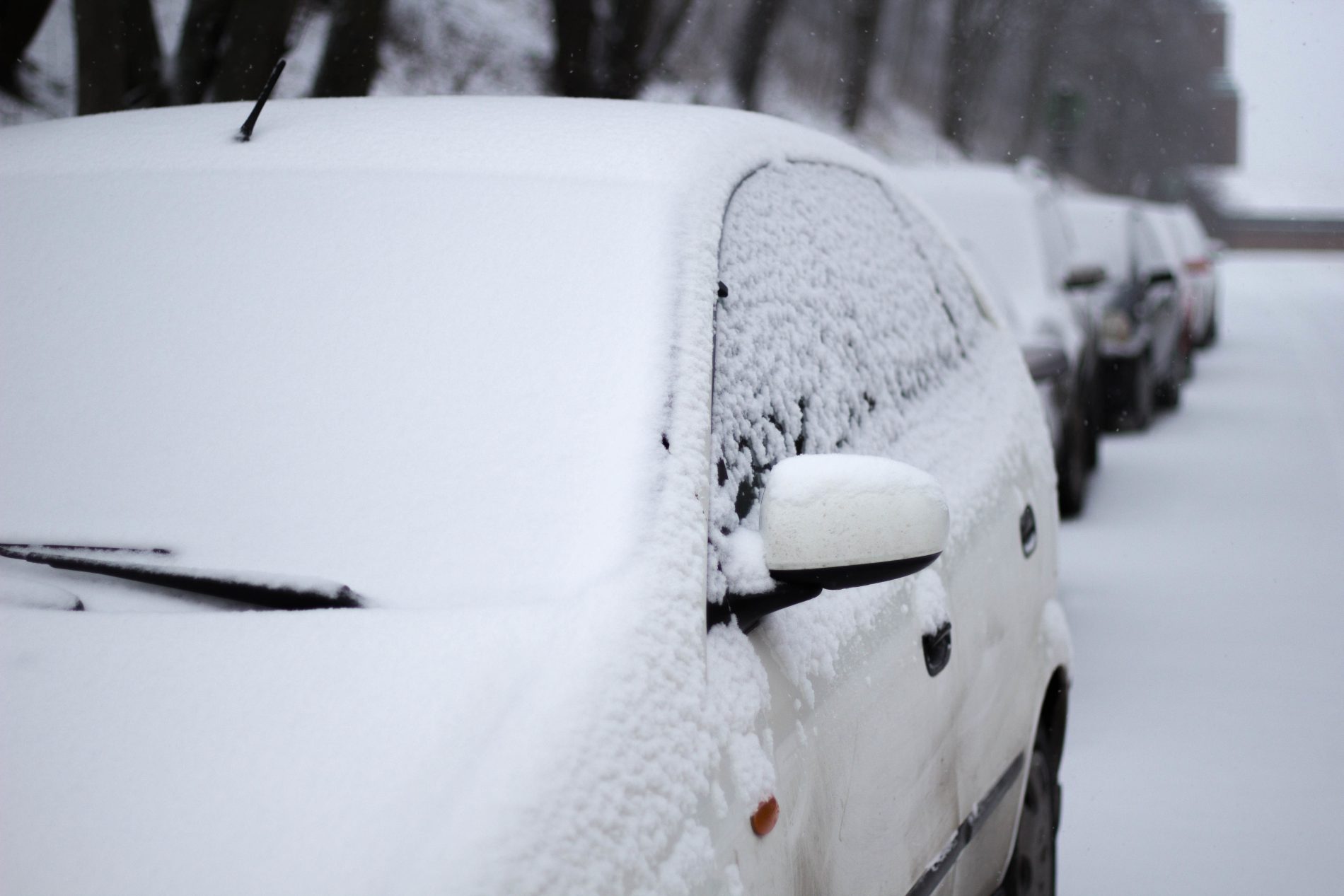 Снежный плен: костромичей предупредили о резком ухудшении погоды