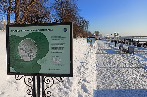 Набережную Волги в Костроме украсили фото монет с редкими животными