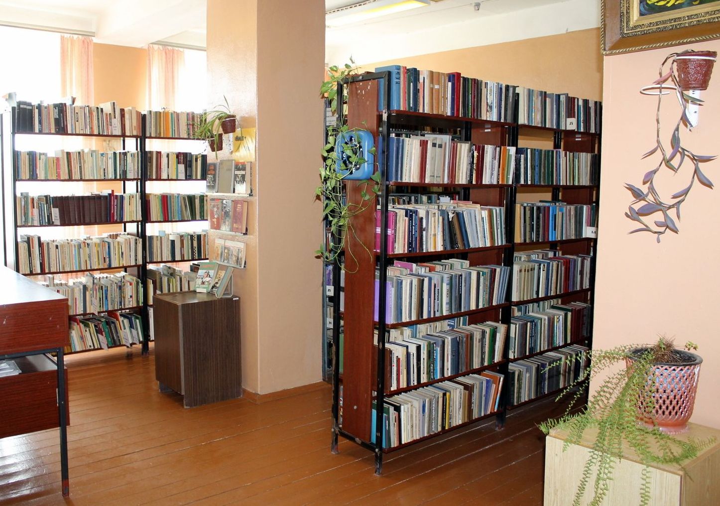 Библиотеки и клубы в Костромской области теперь просто так не закроют