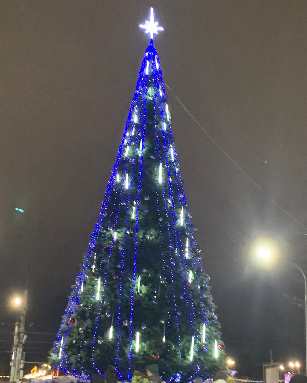 Российский Дед Мороз зажег огни на главной елке Костромы