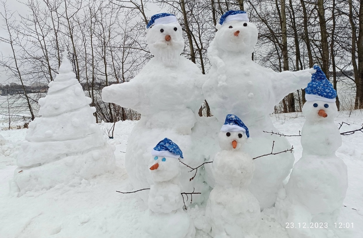 В костромских парках обосновались  семейство снеговиков и сказочная Щука
