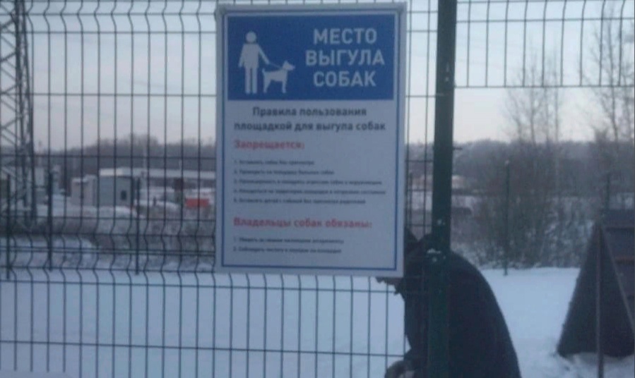 Для дрессировки собак в Костроме создали площадку за 600 тысяч рублей