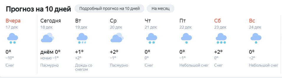 Резиновые сапоги не спасут: погода в Костроме сошла с ума