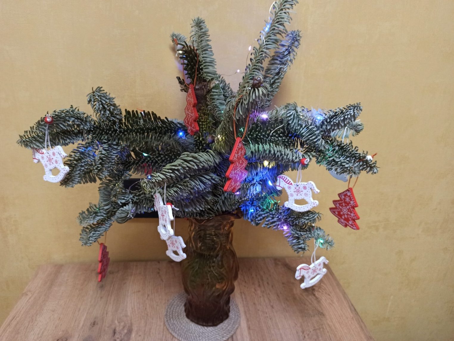 Нашли для костромичей идеальную альтернативу живой новогодней елке