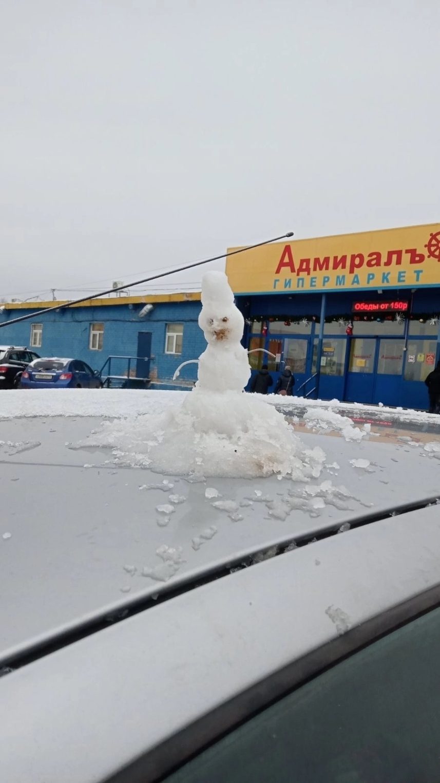 В Костроме появился тайный украшатель машин снеговичками
