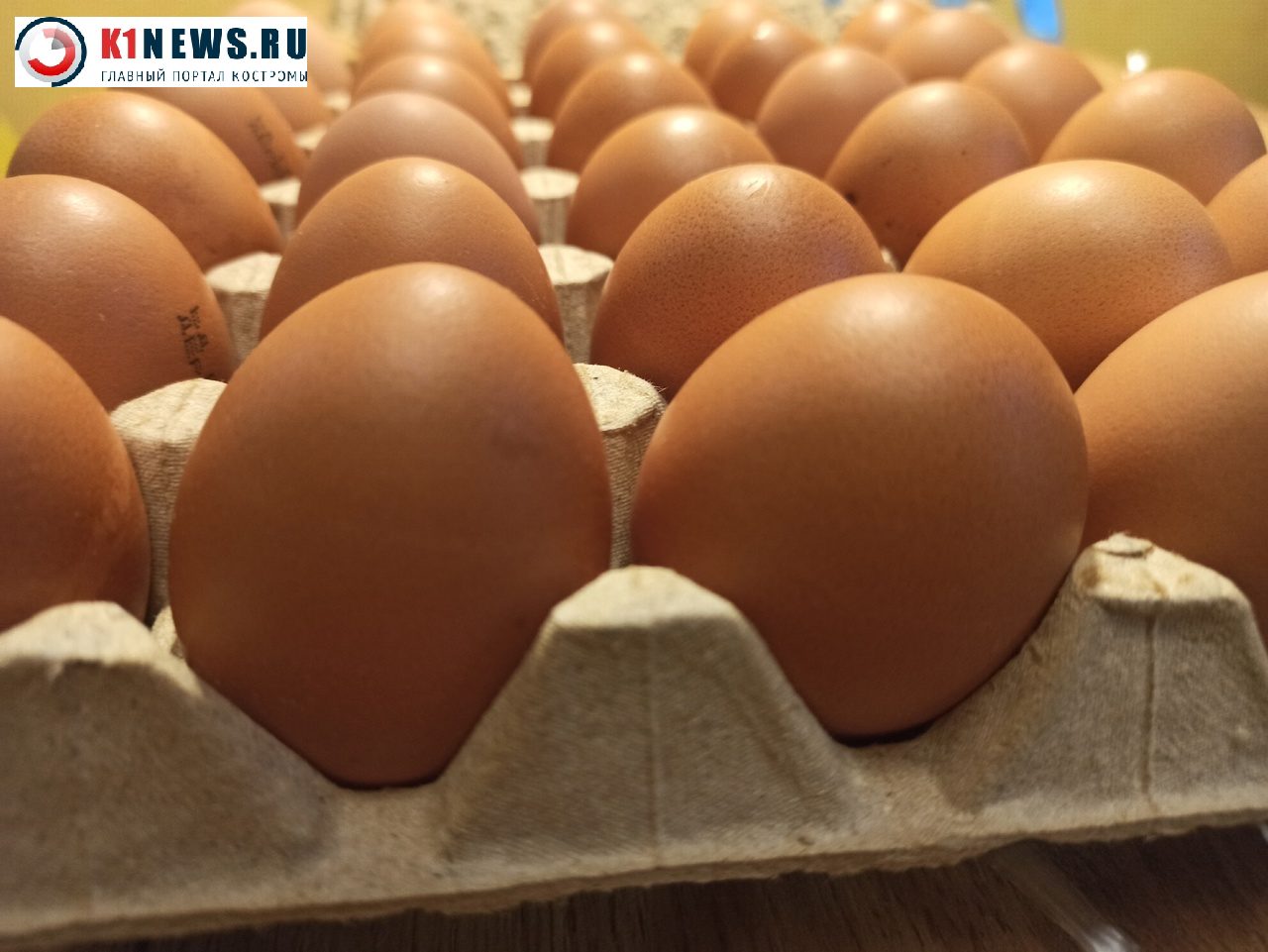 Костромских производителей яиц подозревают в антимонопольных нарушениях