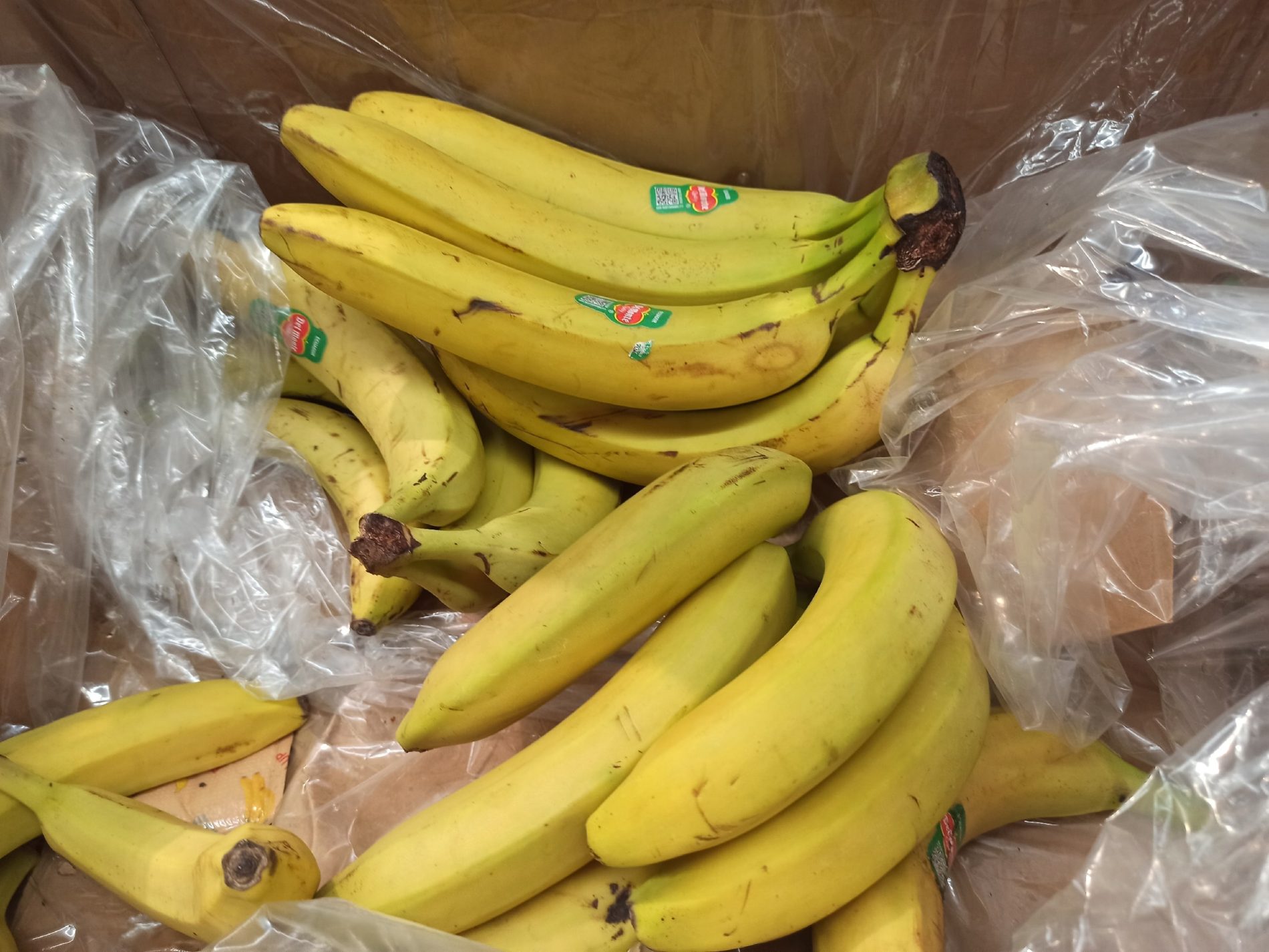 Бунт в Эквадоре может оставить костромичей без любимого фрукта