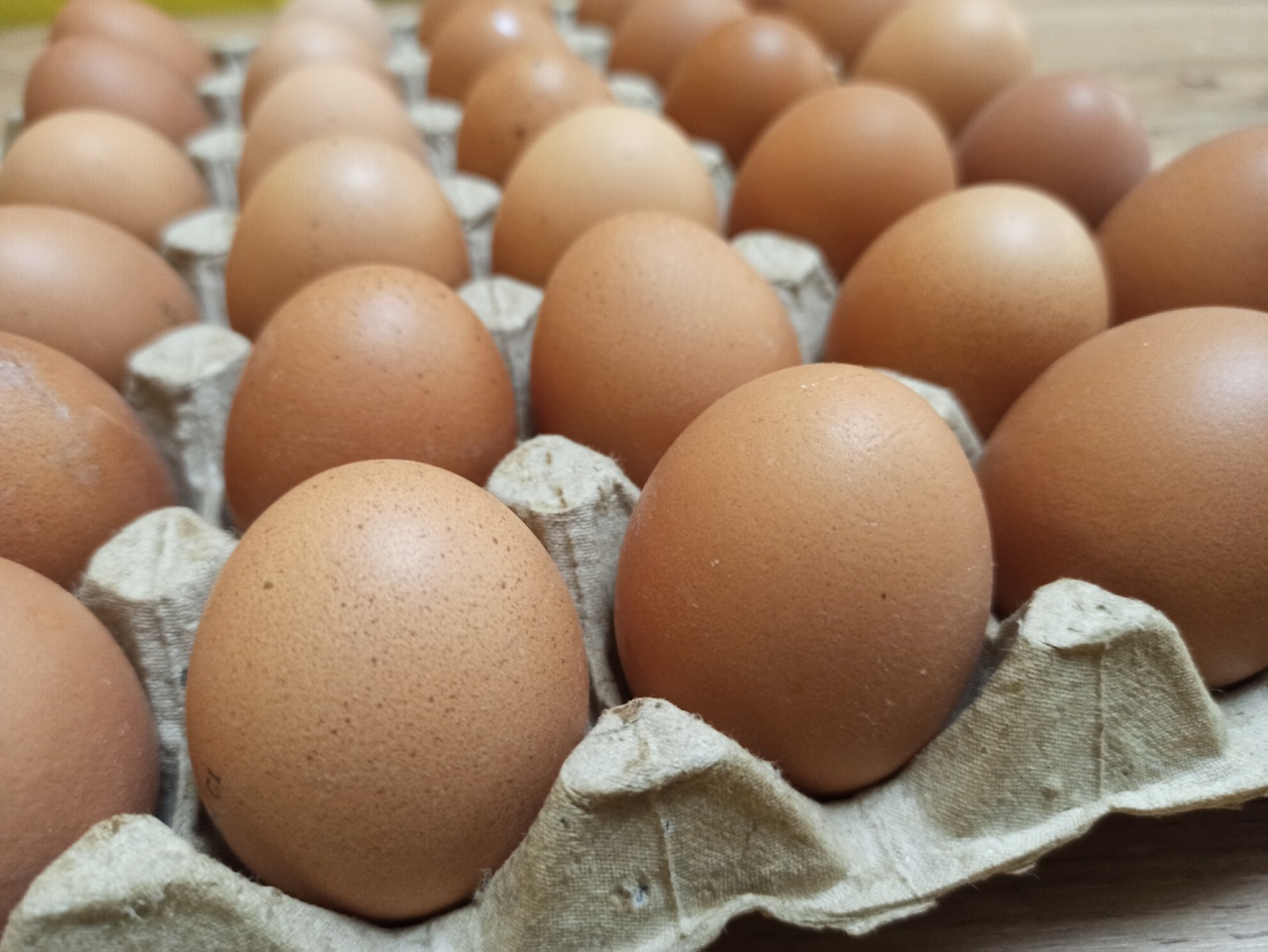 Уже скоро: костромичи могут рассчитывать, что яйца подешевеют