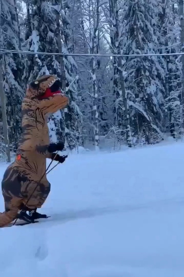 Костромичи повстречали в Берендеевке динозавра на лыжах
