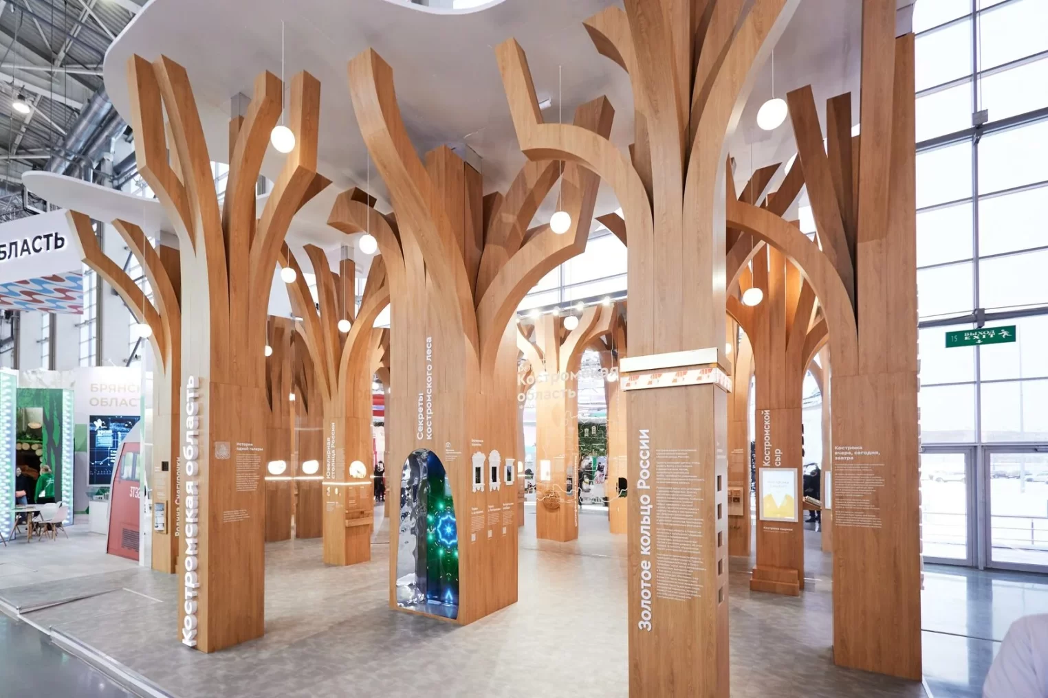 Стенд Костромской области из 9 деревьев на выставке "Россия" придумали москвичи