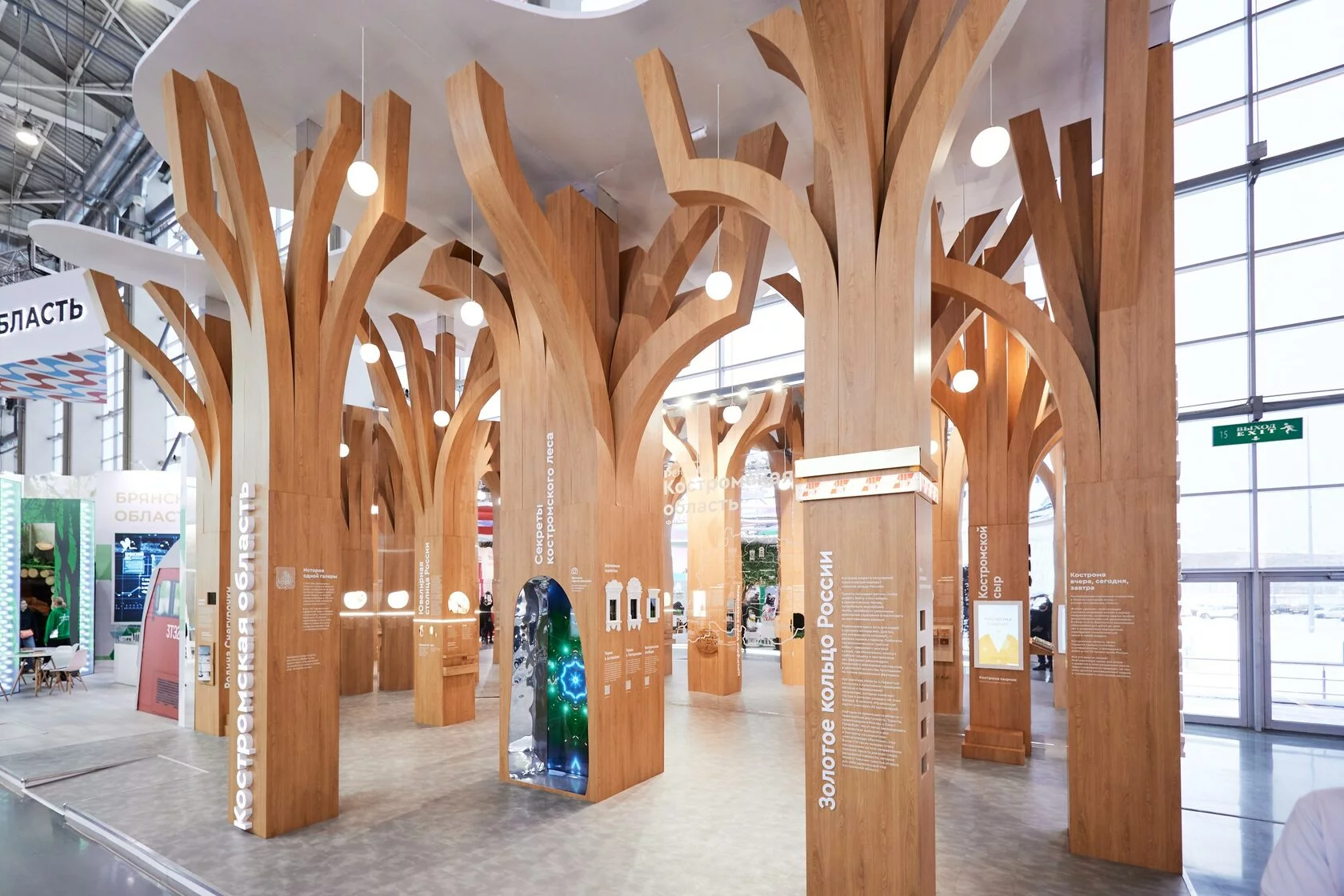 Стенд Костромской области из 9 деревьев на выставке «Россия» придумали москвичи
