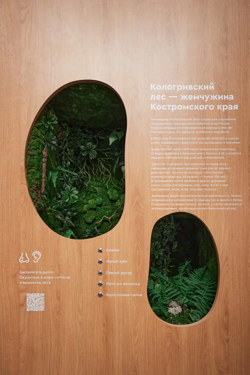 Стенд Костромской области из 9 деревьев на выставке "Россия" придумали москвичи