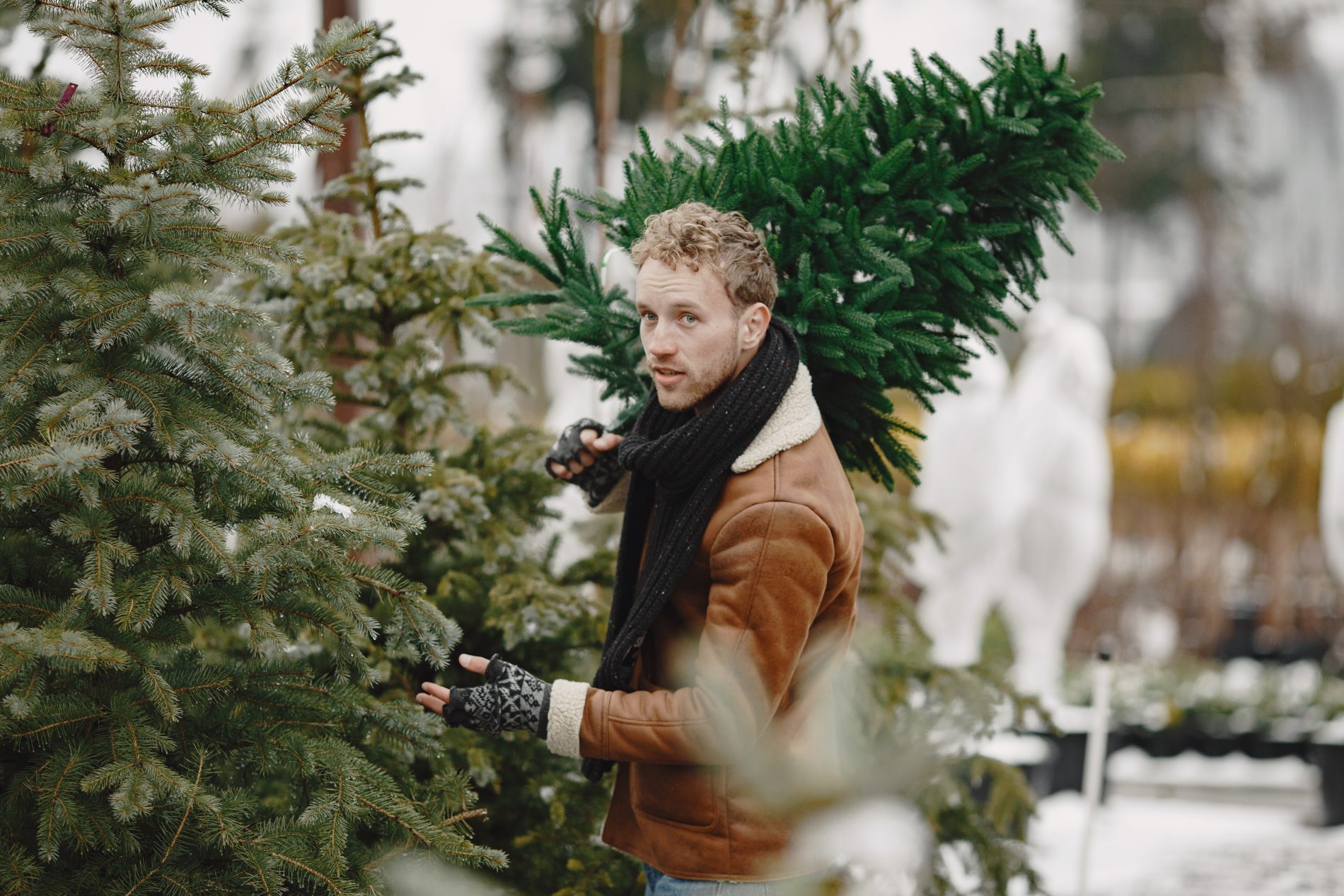 Куда экологично пристроить новогодние елки в Костроме