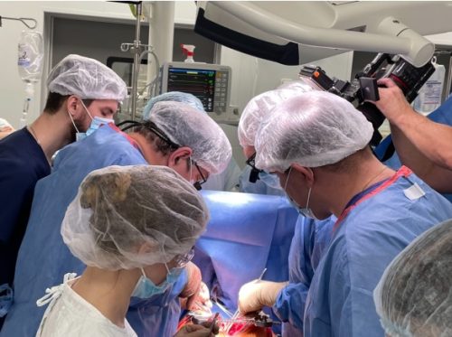 Кто первым в сибири провел успешную операцию. Кристиан барнард южноафриканский хирург. Кто первым в сибири провел успешную операцию. Трансплантация полового органа. Кто первым в сибири провел успешную операцию.