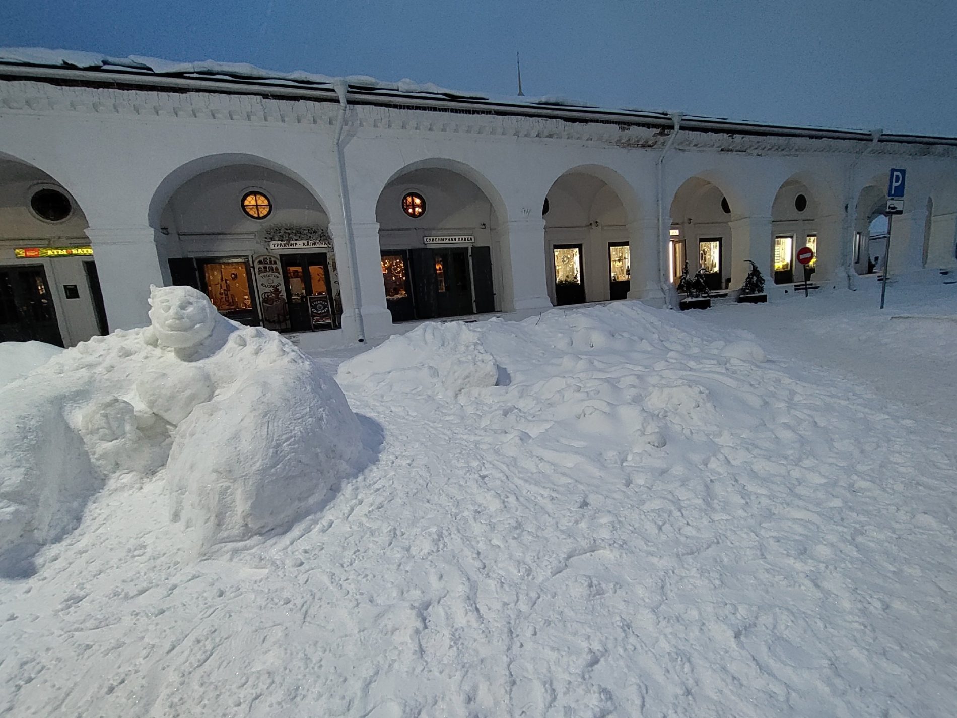 Снежную семью в Костроме сравняли с землей