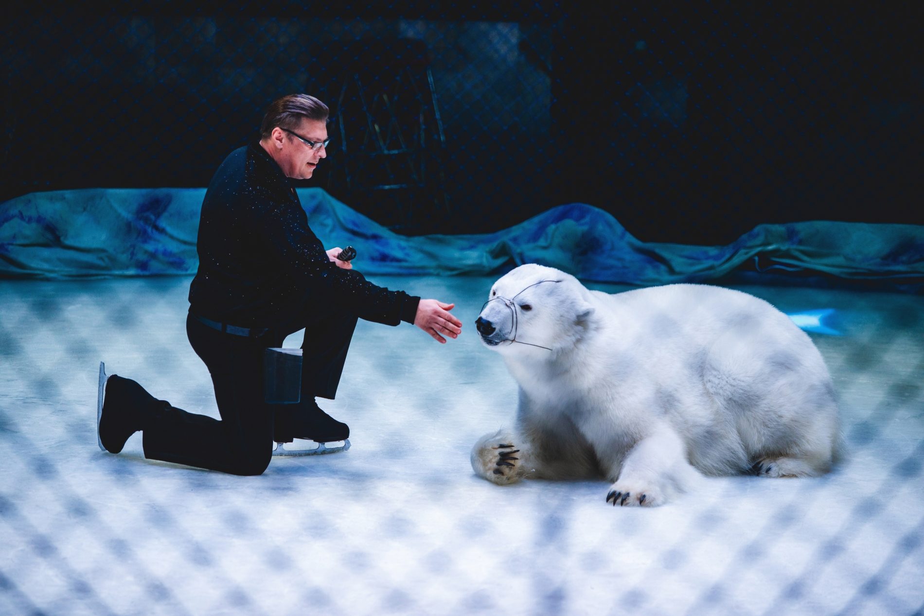 Костромичам представили уникальное ледовое шоу с белыми медведями