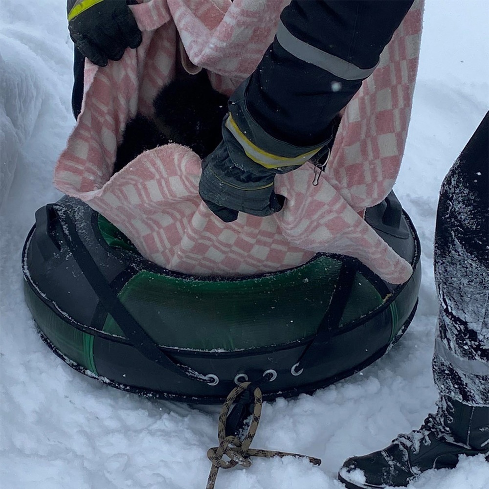 Костромичи помогли больной собаке спастись из снежной ямы