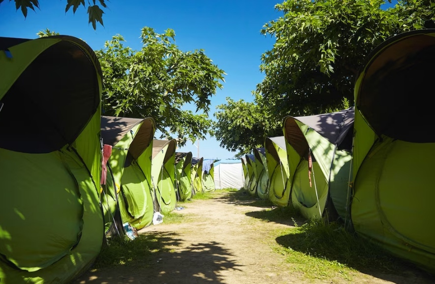 Палаточный лагерь-спутник появится в детском загородном центре под Костромой