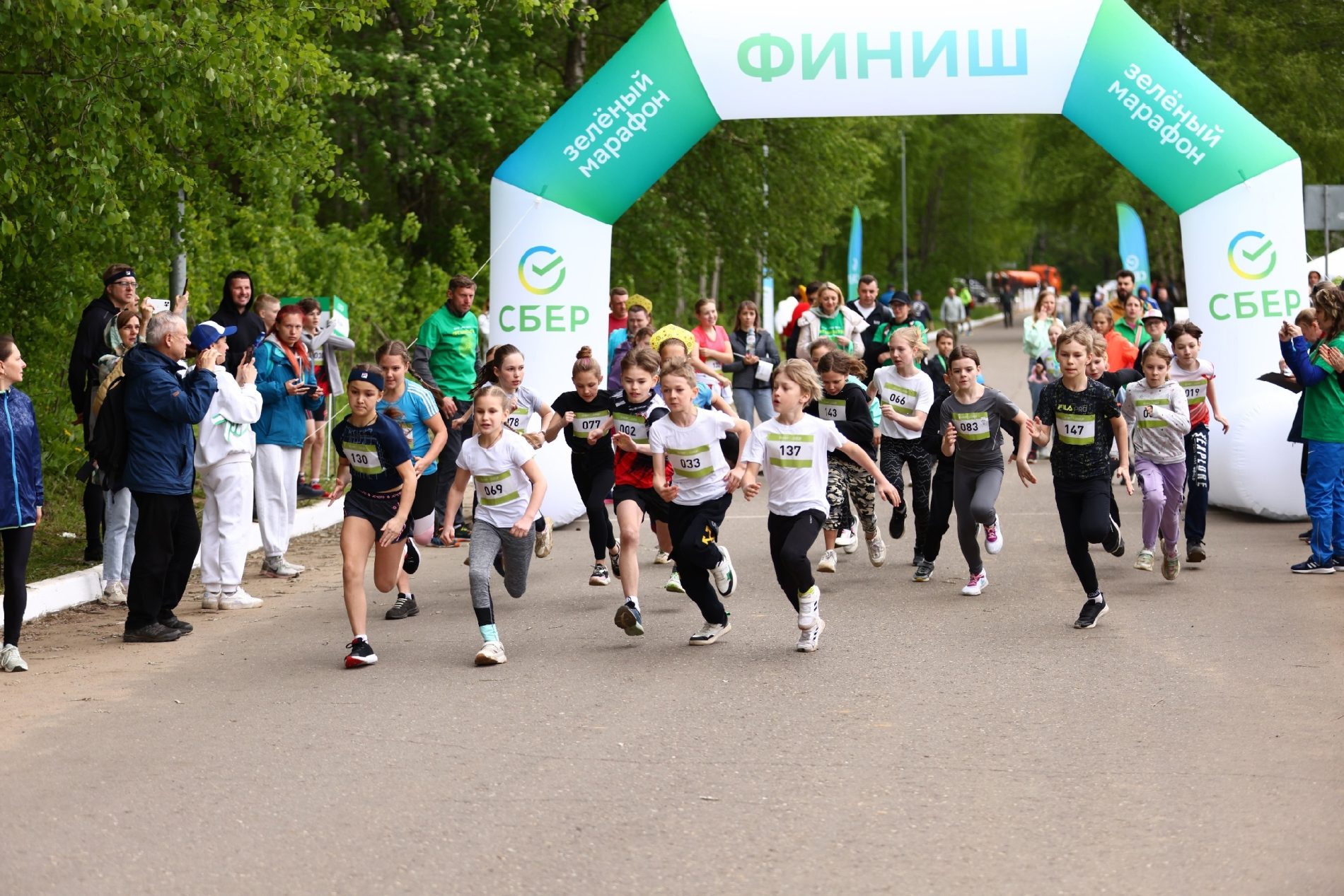 Сбер приглашает костромичей стать участниками Зелёного марафона – 2024