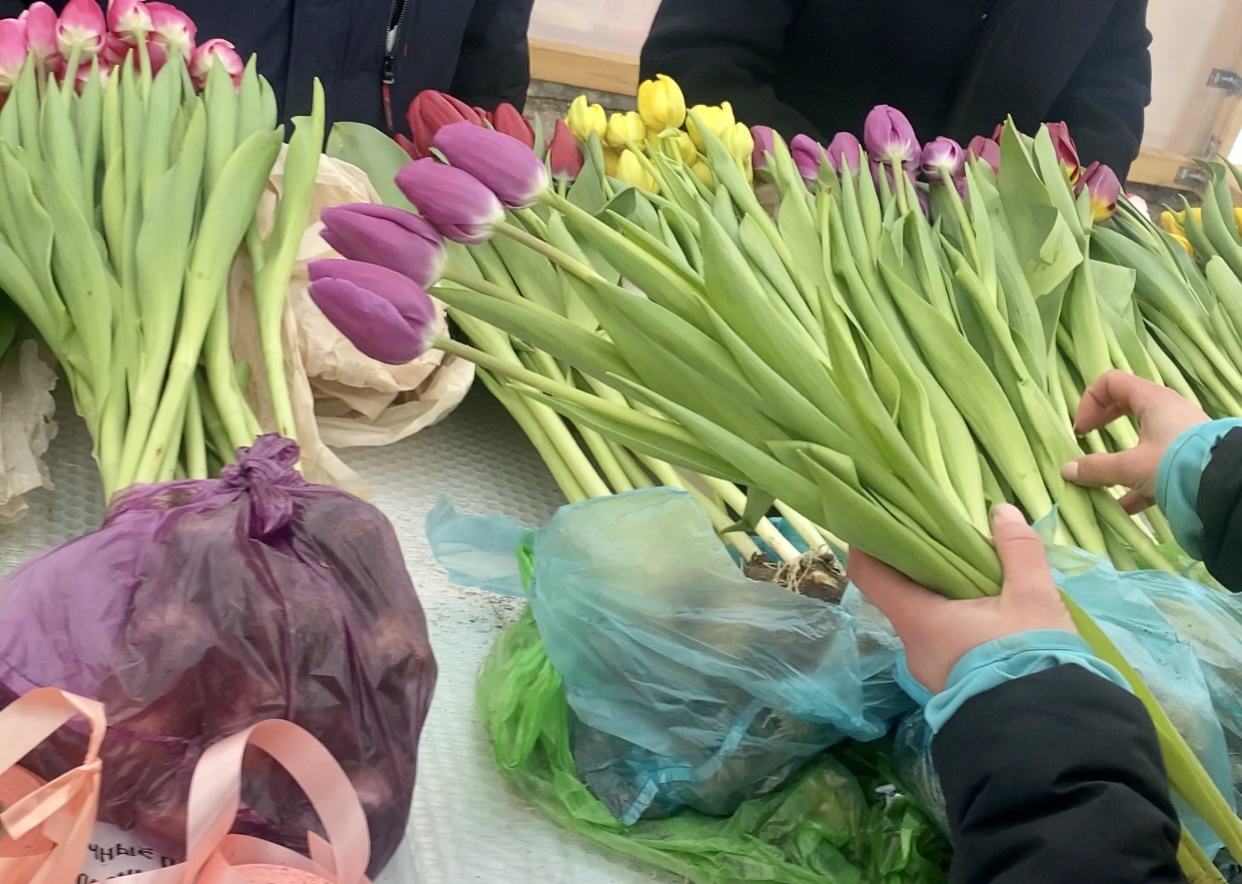 Цены на цветы 2024 и ежегодная большая костромская ярмарка тюльпанов