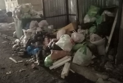 Костромичей сводит с ума мусор, который не вывозят почти неделю