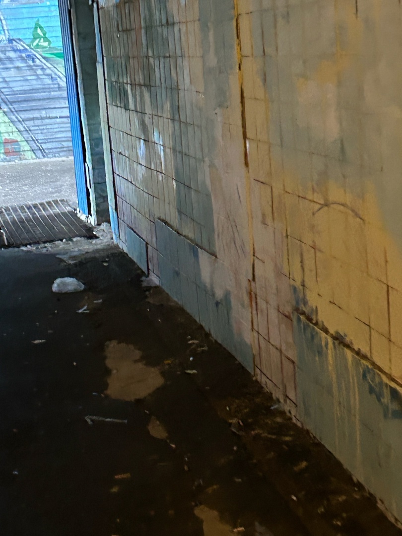 Костромичам не дает покоя подземный переход у бывшего автовокзала