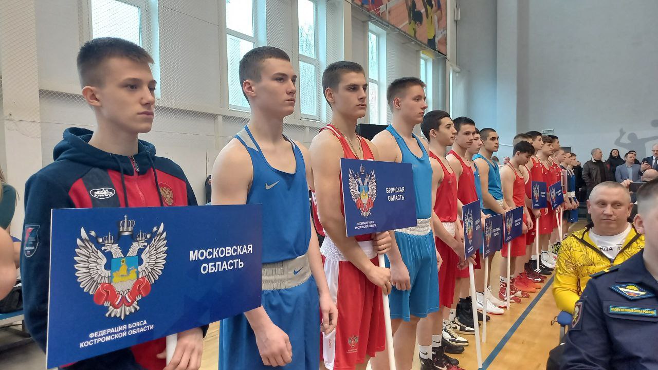 Боксеры на соревнованиях в Костроме бьются за путевку на Первенство России