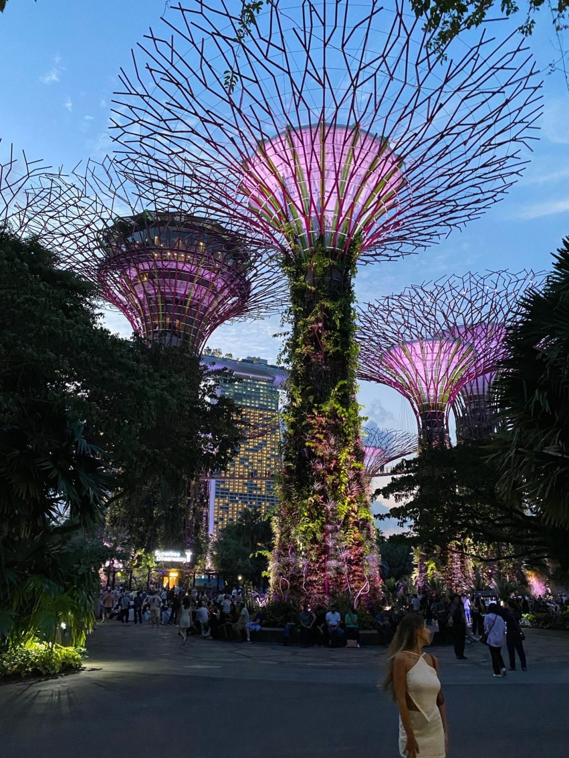 Костромичка развеяла миф о дорогом отдыхе в Сингапуре