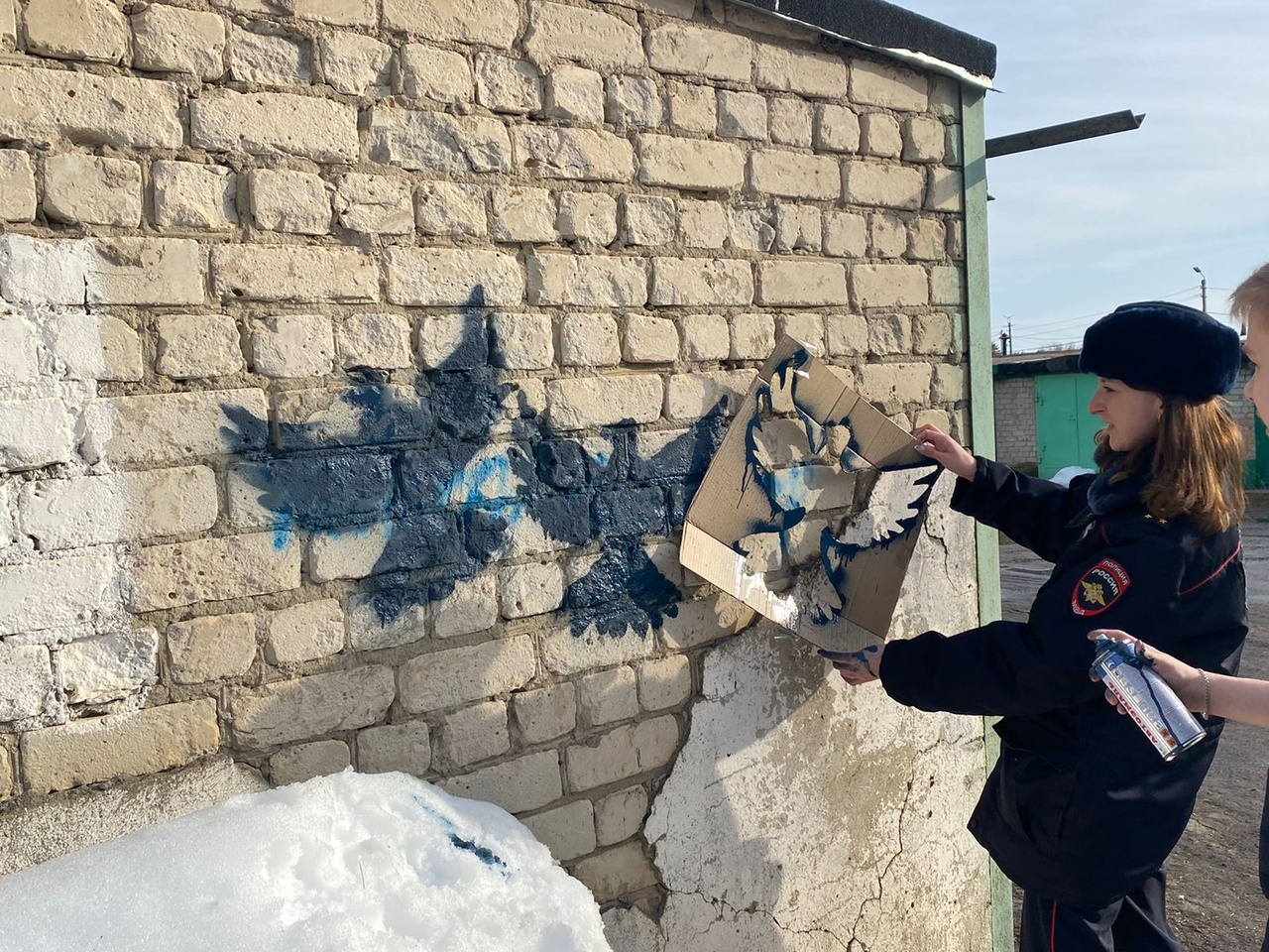 Голуби борются с наркорекламой в Костромской области