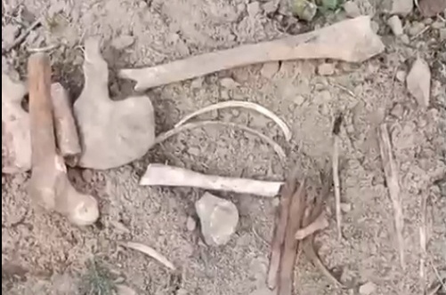 Человеческие кости обнаружили на детской площадке в Костроме