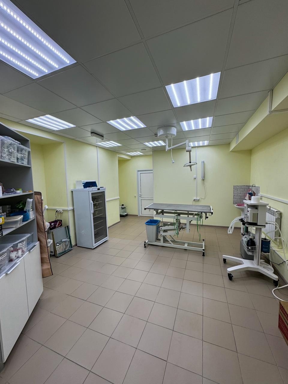 В Костроме открылась "Клиника ветеринарной медицины"