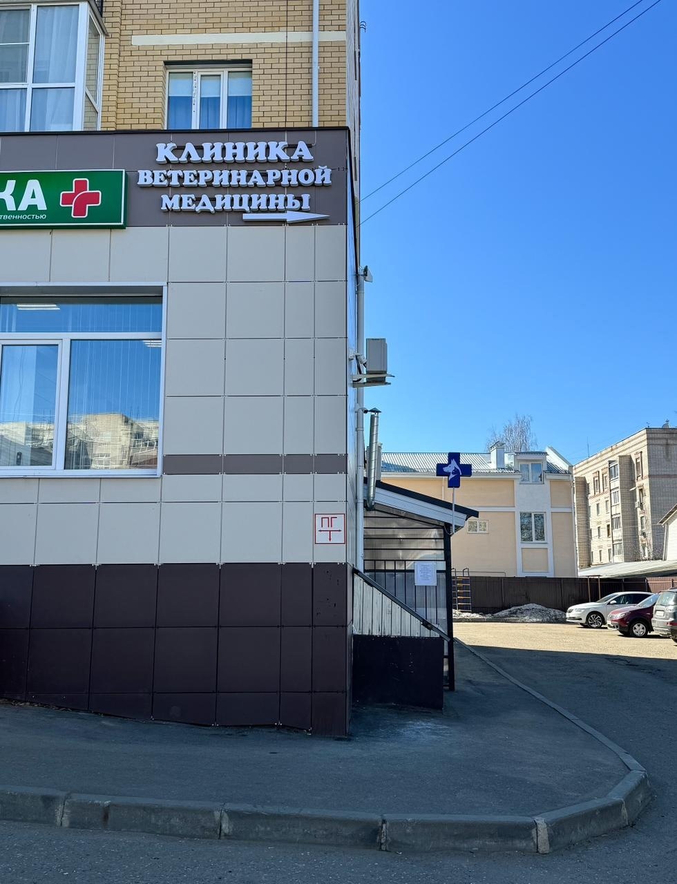 В Костроме открылась «Клиника ветеринарной медицины»