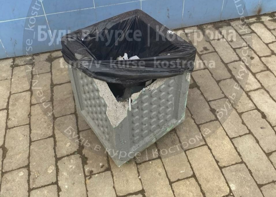 Неизвестные грызут мусорные урны в Костроме