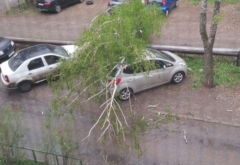 Ураган в Костроме валил деревья на машины