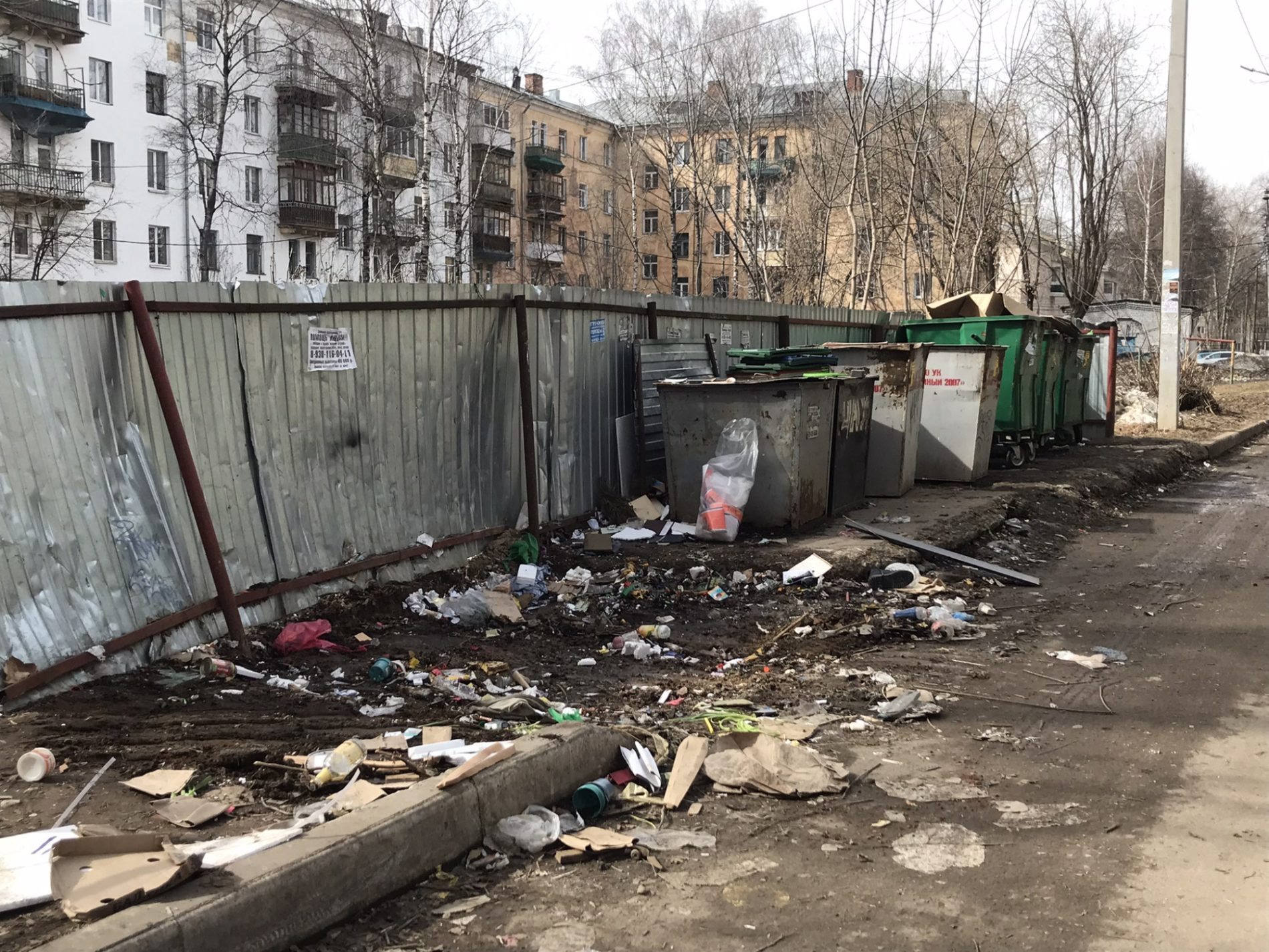Чиновники Костромы взяли под контроль мусорные контейнеры