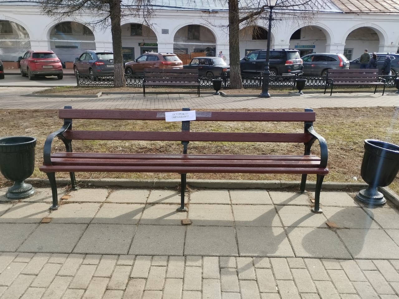 Костромичи не рады свежевыкрашенным лавочкам в парках