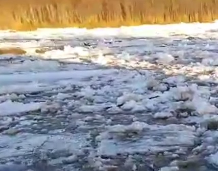 Ледоход начался на северо-востоке Костромской области. Видео