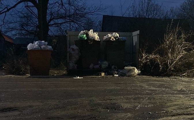 Жители костромского райцентра негодуют: заросли мусором