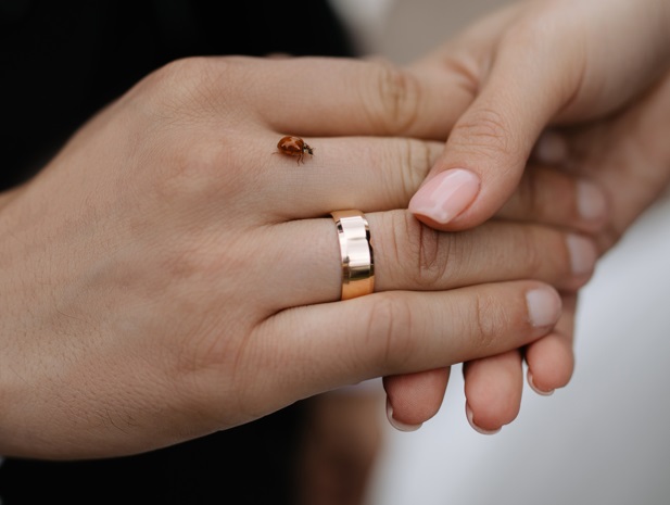 Молодоженам Костромы предложили вступить в брак в День России