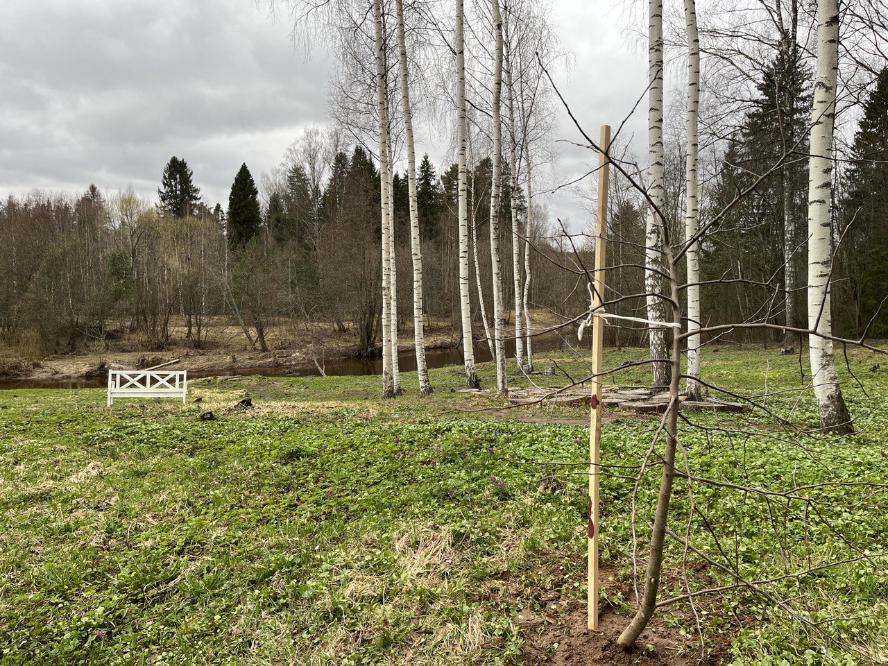 В музее-заповеднике «Щелыково» заложили яблоневый сад