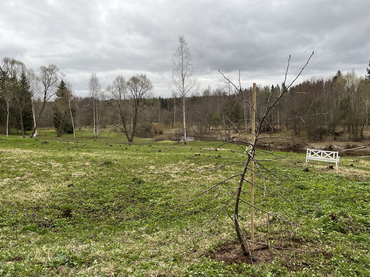 В музее-заповеднике «Щелыково» заложили яблоневый сад