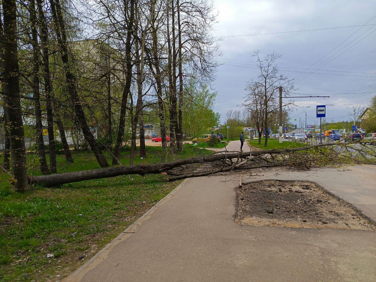 Ураган в Костроме валил деревья на машины