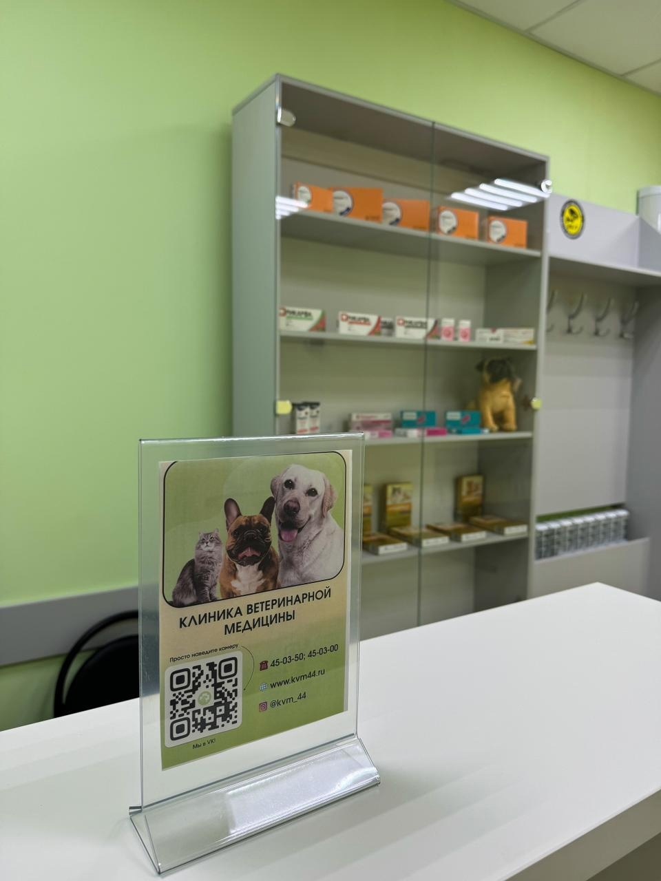 В Костроме открылась "Клиника ветеринарной медицины"