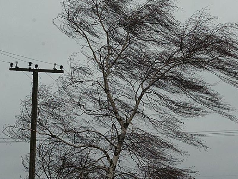 Ураганный ветер с дождем ожидают в Костромской области