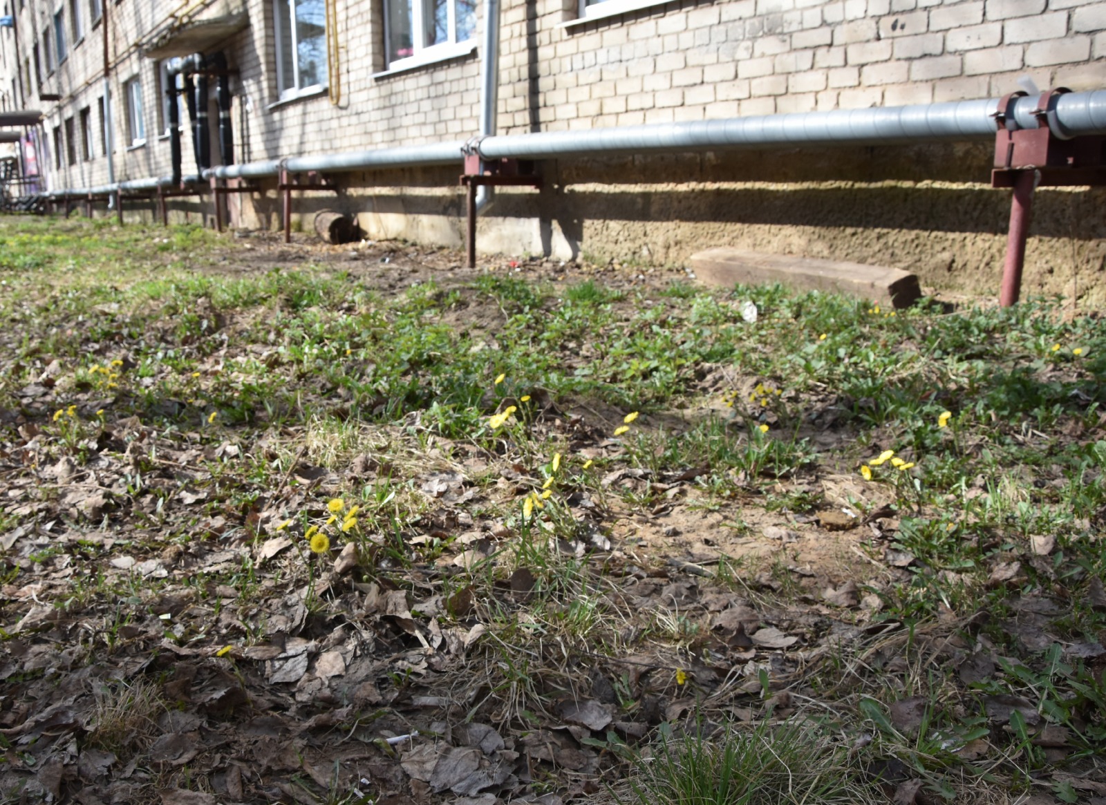 Жители и коммунальщики вычистили 340 дворовых территорий Костромы