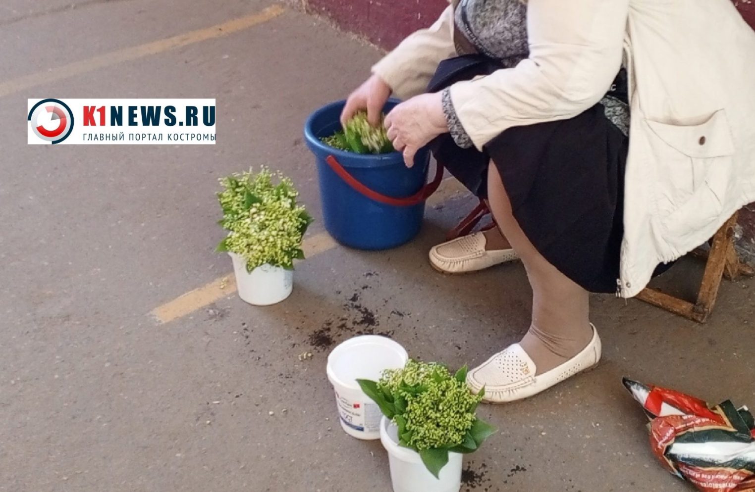 В Костроме продают первые слезы царевны