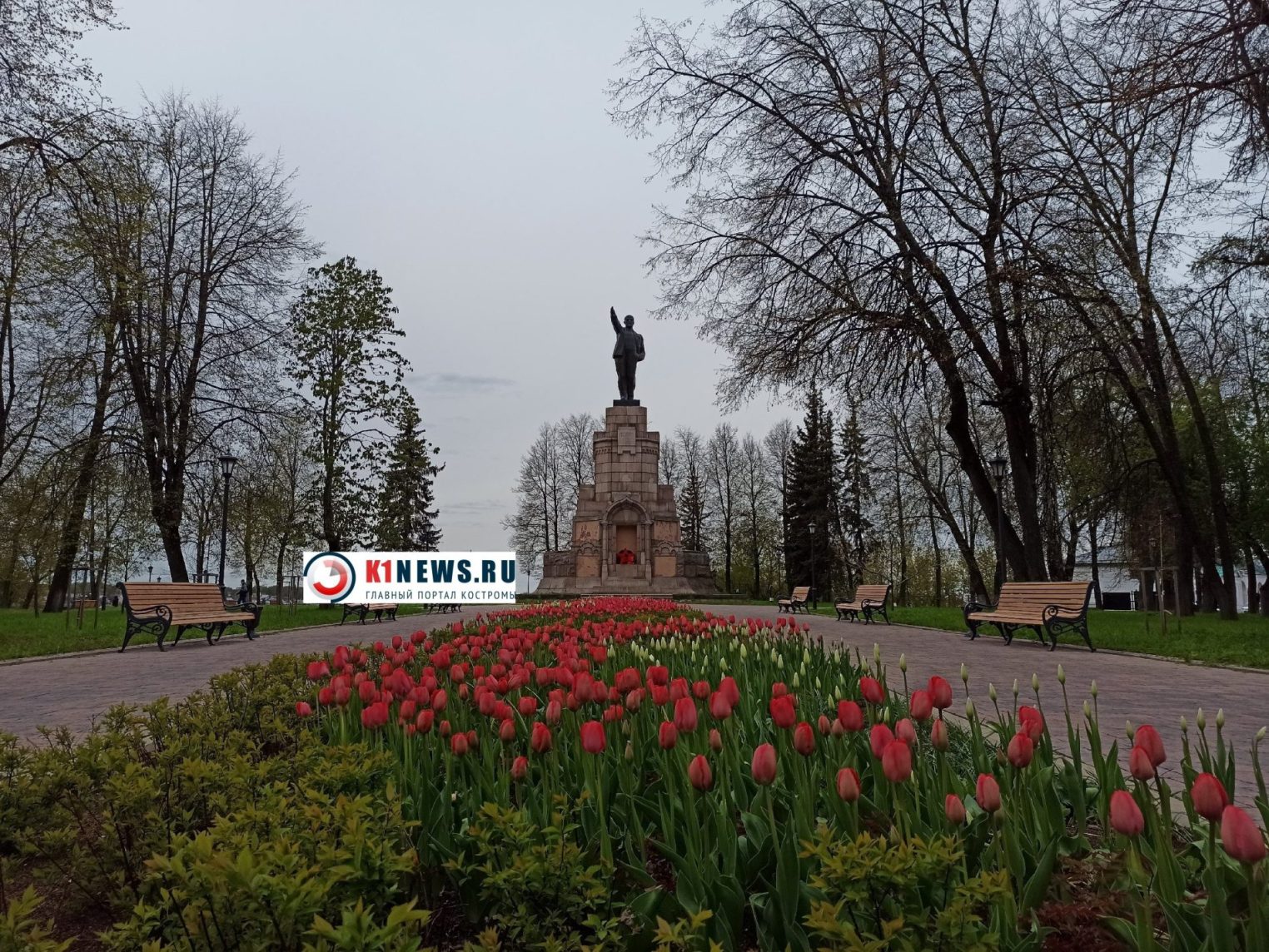 В центре Костромы распустились протестные цветы